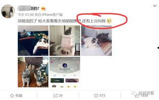 网红故事圈带你吃瓜  第2张