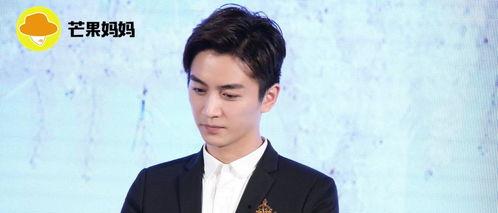 陈晓吃瓜娱乐视频,揭秘明星幕后趣事  第3张