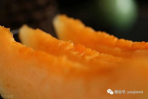 认真吃瓜网红图片,揭秘“认真吃瓜网红”的爆红之路 第1张 认真吃瓜网红图片,揭秘“认真吃瓜网红”的爆红之路 第1张