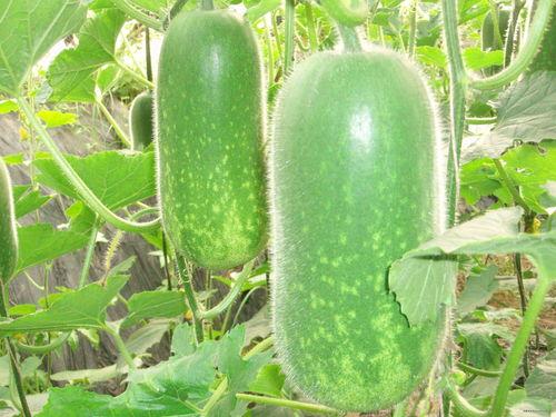 926吃瓜网,926吃瓜网带你领略明星幕后故事  第1张