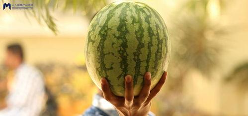 吃瓜大事件,揭秘娱乐圈最新大事件背后的真相 第3张 吃瓜大事件,揭秘娱乐圈最新大事件背后的真相 第3张