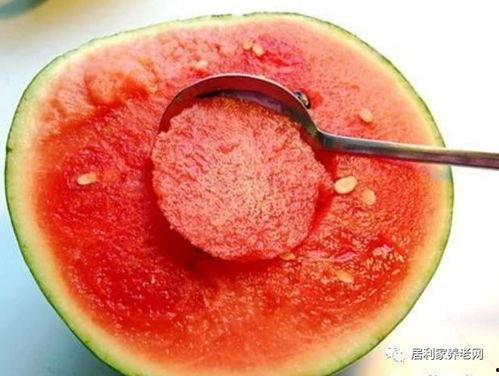 乐乐茶狗头吃瓜网图,揭秘网红美食背后的故事