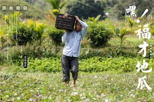 青青草网红吃瓜,揭秘娱乐圈幕后真相 第2张 青青草网红吃瓜,揭秘娱乐圈幕后真相 第2张