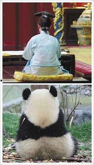 娱乐圈吃瓜群众是谁呀,揭秘那些热衷于八卦的明星粉丝群体  第2张