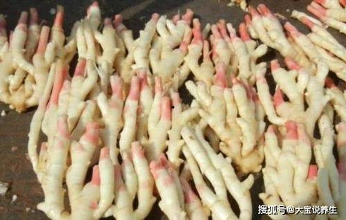 娱乐吃瓜君姜丝,揭秘姜丝背后的故事与魅力  第2张