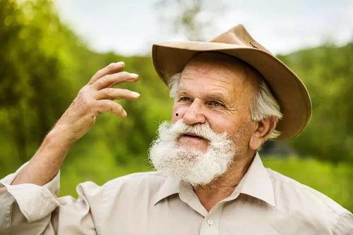 娱乐吃瓜酱老人,揭秘娱乐圈背后的真相 第3张 娱乐吃瓜酱老人,揭秘娱乐圈背后的真相 第3张