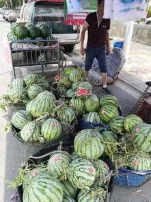 湘潭网红吃瓜事件视频,一场网络热议的幕后真相揭秘